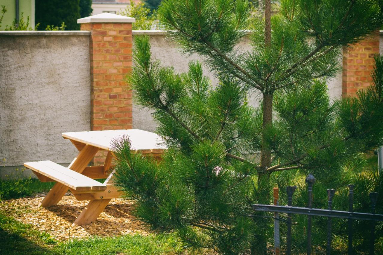 An Den Elbwiesen Gaestezimmer "Weissstorch" Nur Nichtraucher Dommitzsch Exterior foto